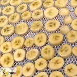 موز خشک حلقه ای