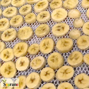 موز خشک حلقه ای