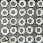 چیپس نارگیل (نارگیل خشک)